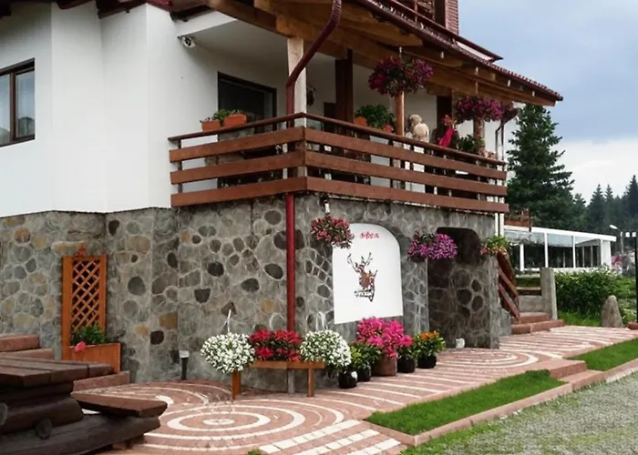 Vila Stefana Păltiniş